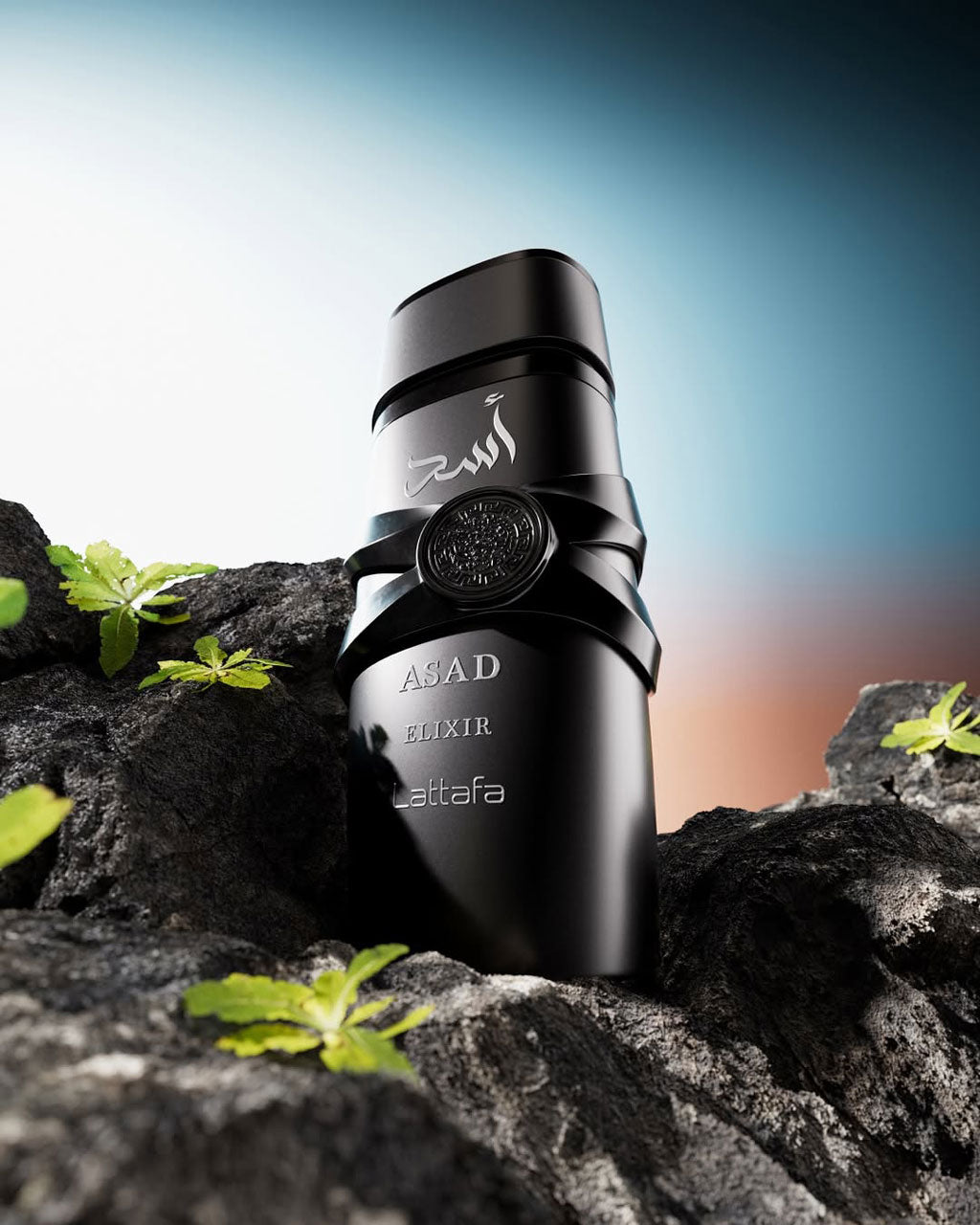 ▷ Lattafa Asad Elixir | Hidden Samples